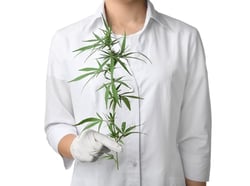 whole-plant-hemp-extract-white-shirt