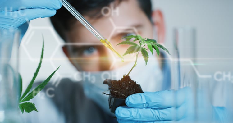 whole plant hemp extract-lab-compounds